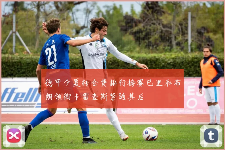 德甲今夏转会费排行榜赛巴里和布朗领衔卡雷查斯紧随其后