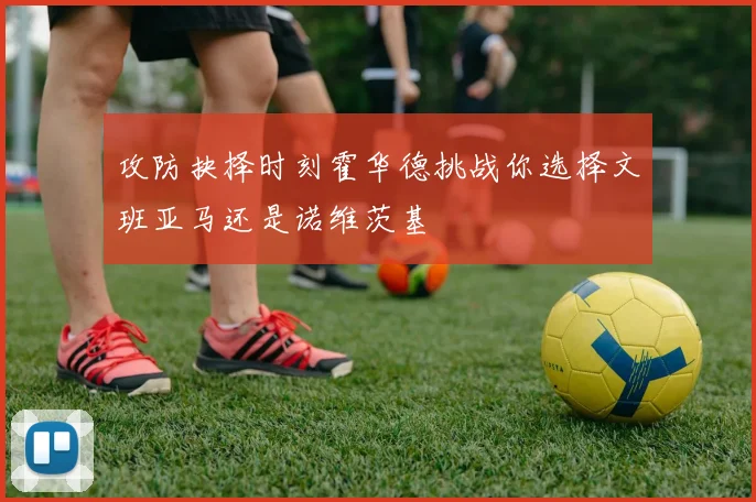攻防抉择时刻霍华德挑战你选择文班亚马还是诺维茨基