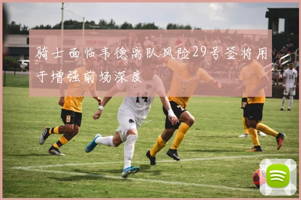骑士面临韦德离队风险29号签将用于增强前场深度